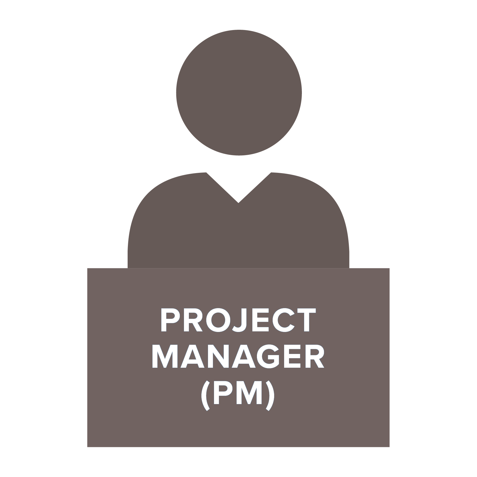 Project Manager